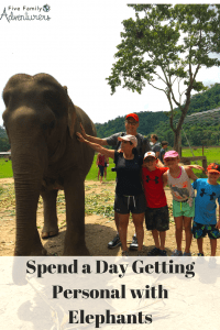 Getting personal with elephants