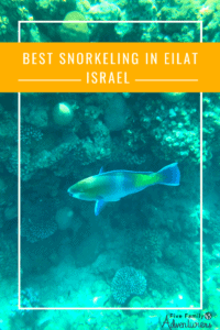 Snorkeling Eilat Israel
