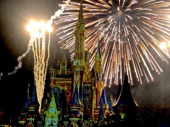 Magic Kingdom Fireworks, Disney VIP