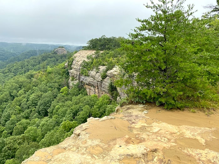 Auxier Ridge, Red River Gorge Kentucky
