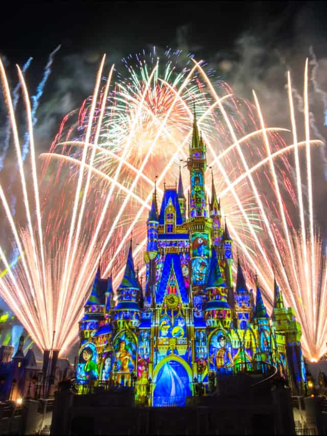 Disney World Vacation Travel Advisor Story
