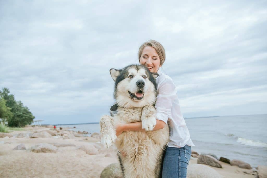 Woman on the beach hugging her large husky