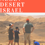 family in desert