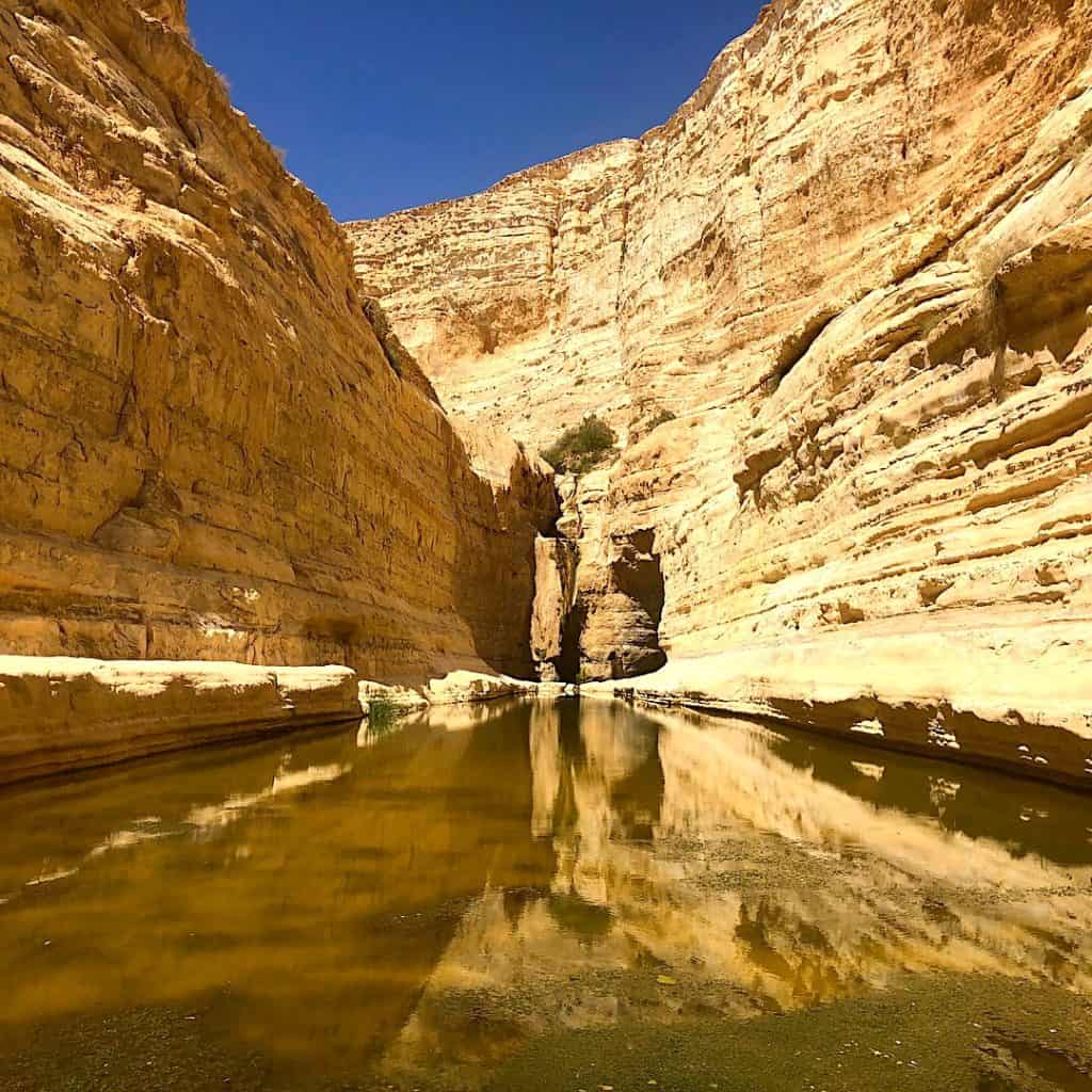 Canyon with water in Negev Desert Israel