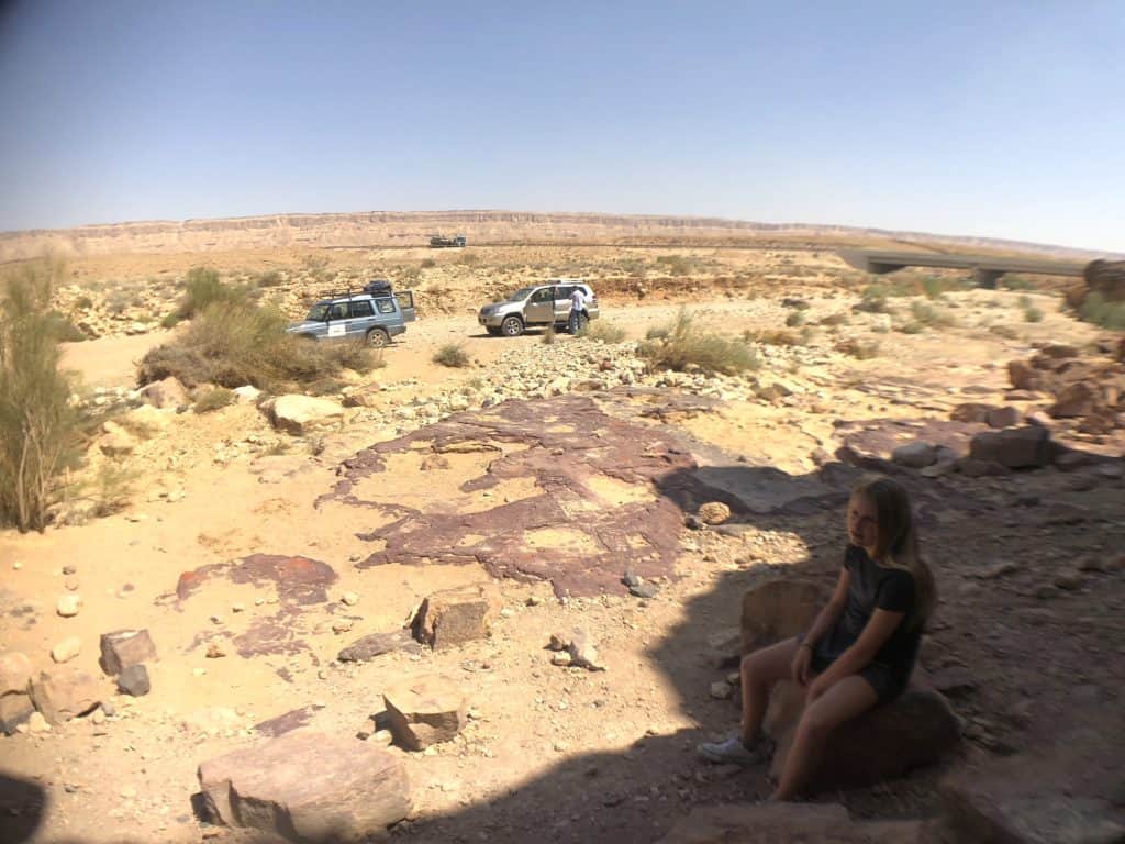 Jeeps Parked in the Negev Desert, Israel