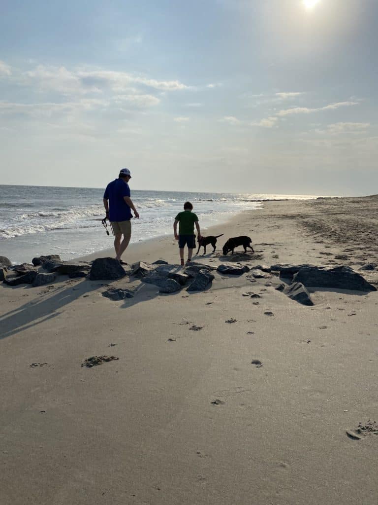dogs and man and child running on the beach